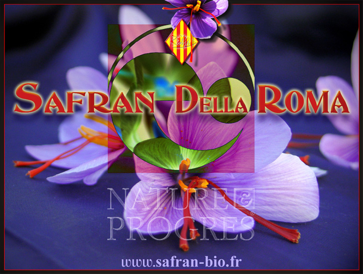 logo Safran Della Roma - www.safran-bio.fr